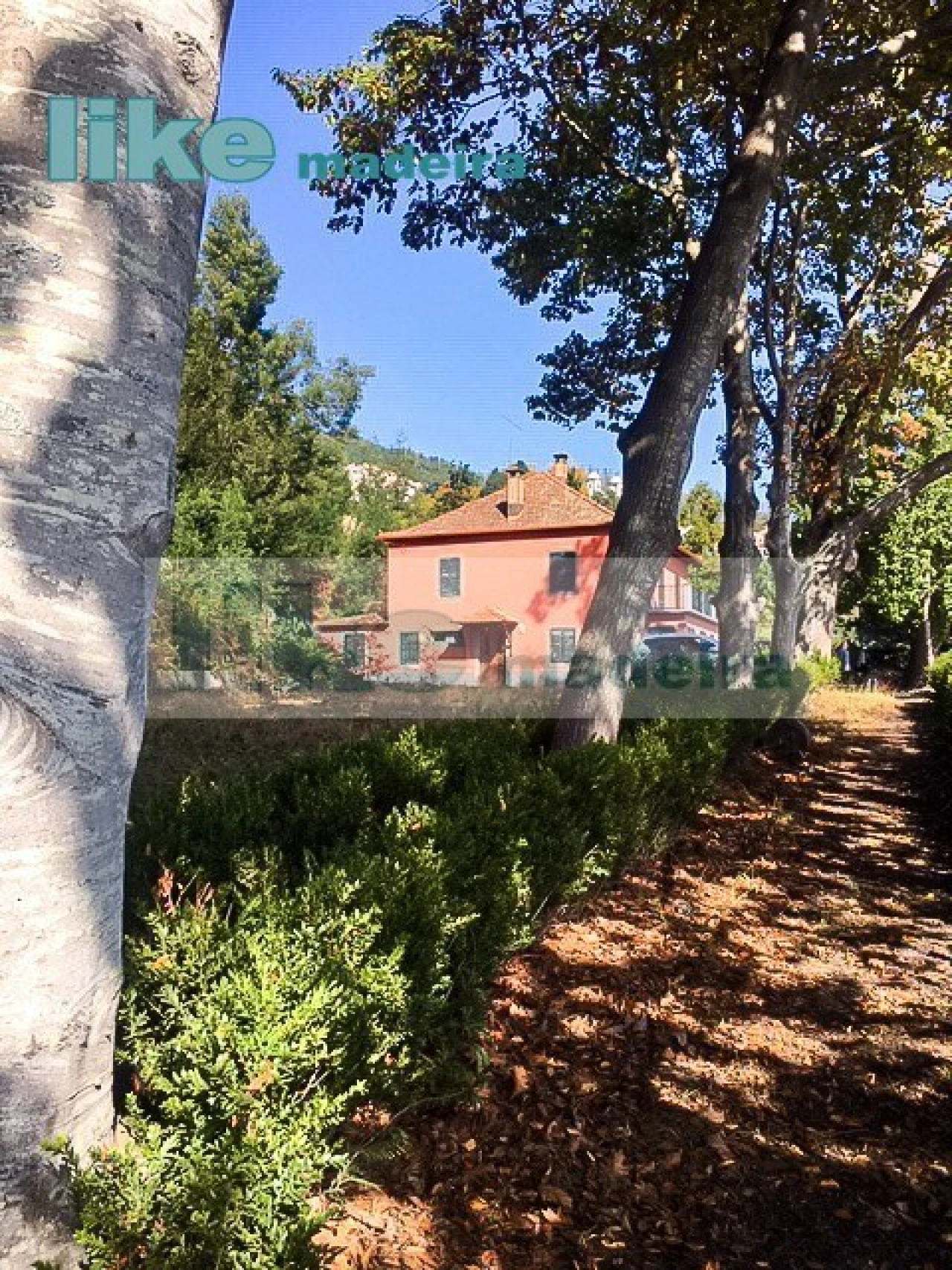 Quinta T4 para Venda em Monte Foto 5