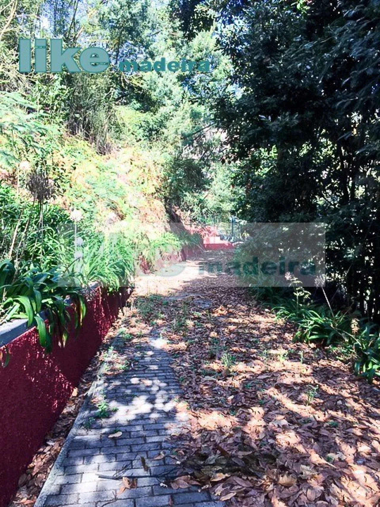 Quinta T4 para Venda em Monte Foto 12