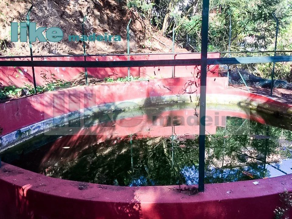 Quinta T4 para Venda em Monte Foto 14