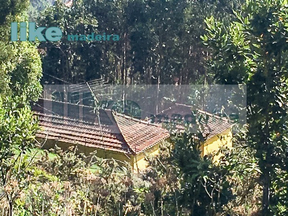 Quinta T4 para Venda em Monte Foto 29