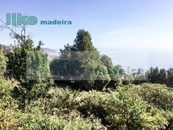 Quinta T4 para Venda em Monte Foto 3