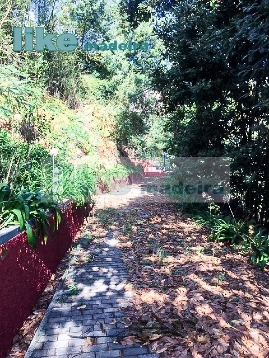 Quinta T4 para Venda em Monte Foto 12