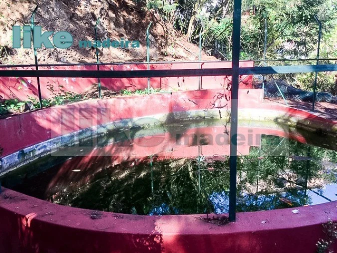 Quinta T4 para Venda em Monte Foto 14