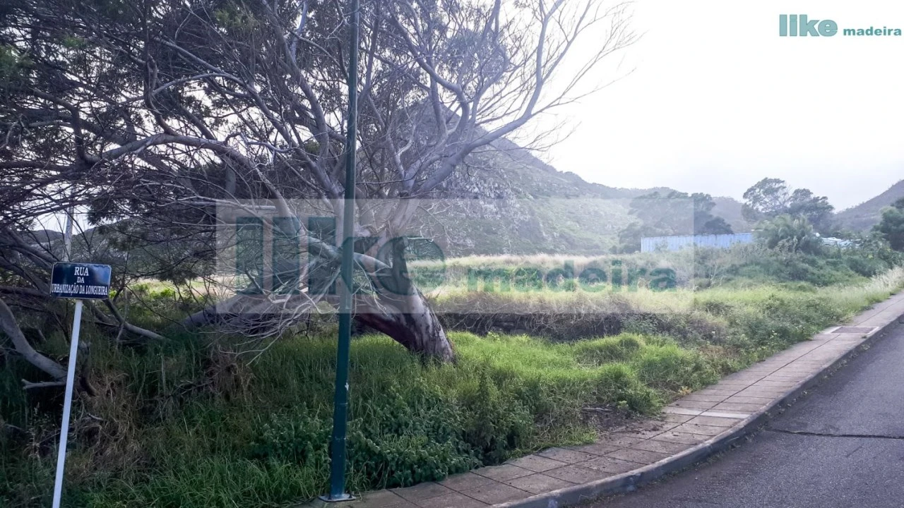 Terreno para Venda em Caniçal Foto 6
