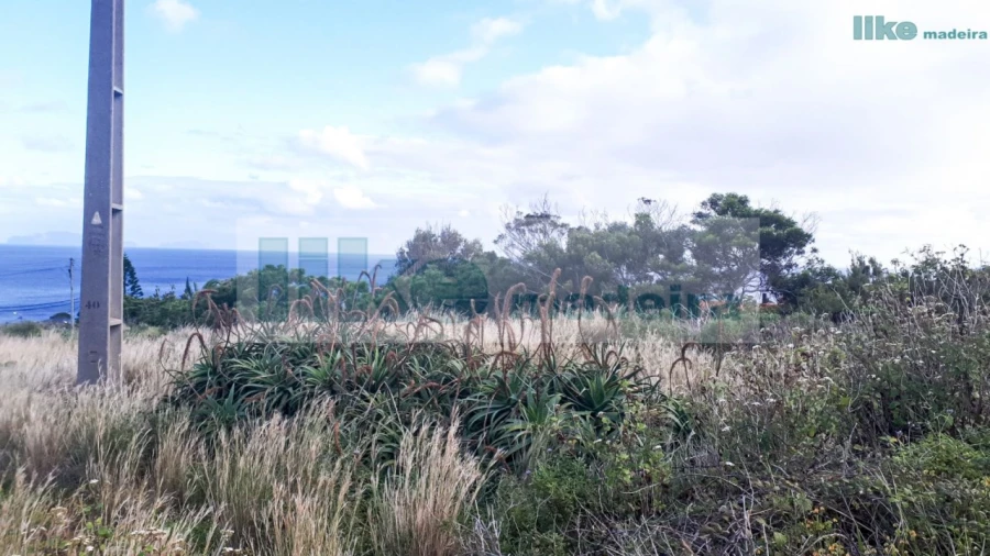 Terreno para Venda em Caniçal Foto 4