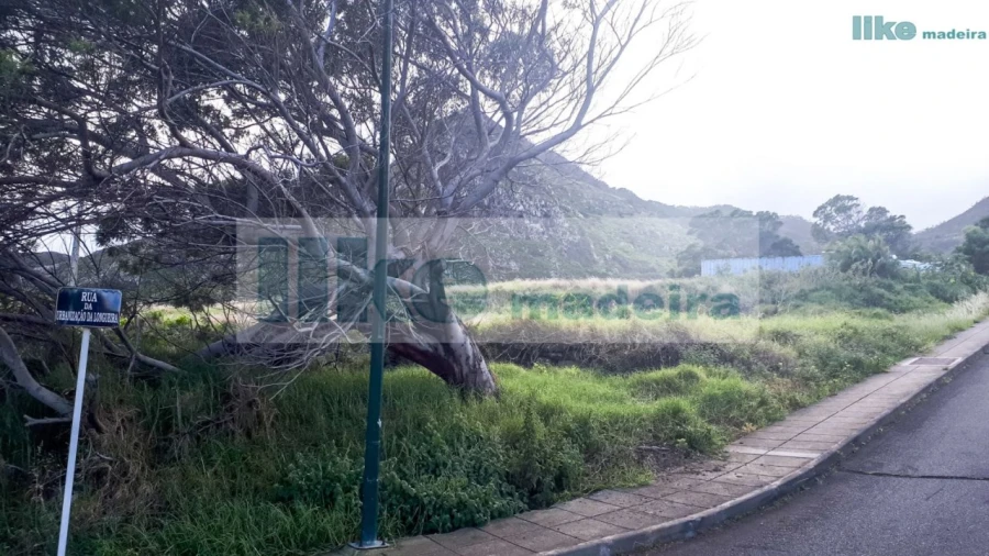 Terreno para Venda em Caniçal Foto 6