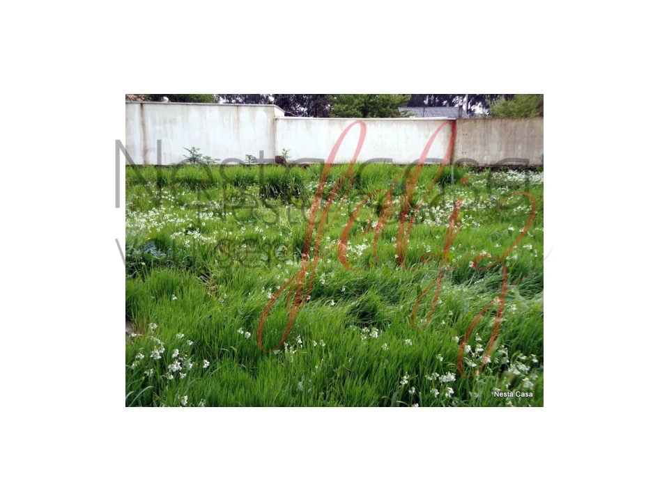 Moradia T7 para Venda em Folgosa Foto 19