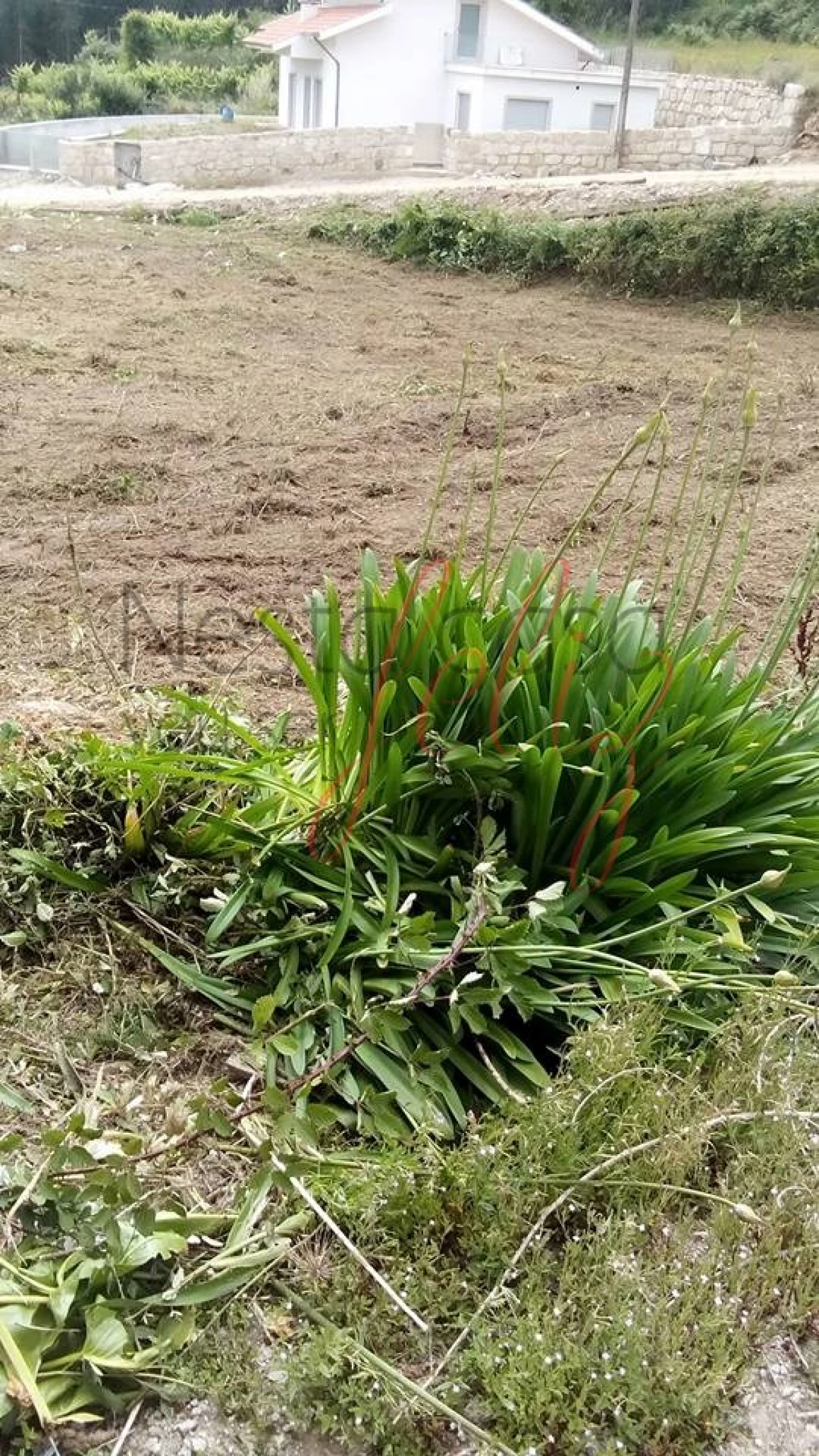 Moradia para Venda em Foz do Sousa e Covelo Foto 6