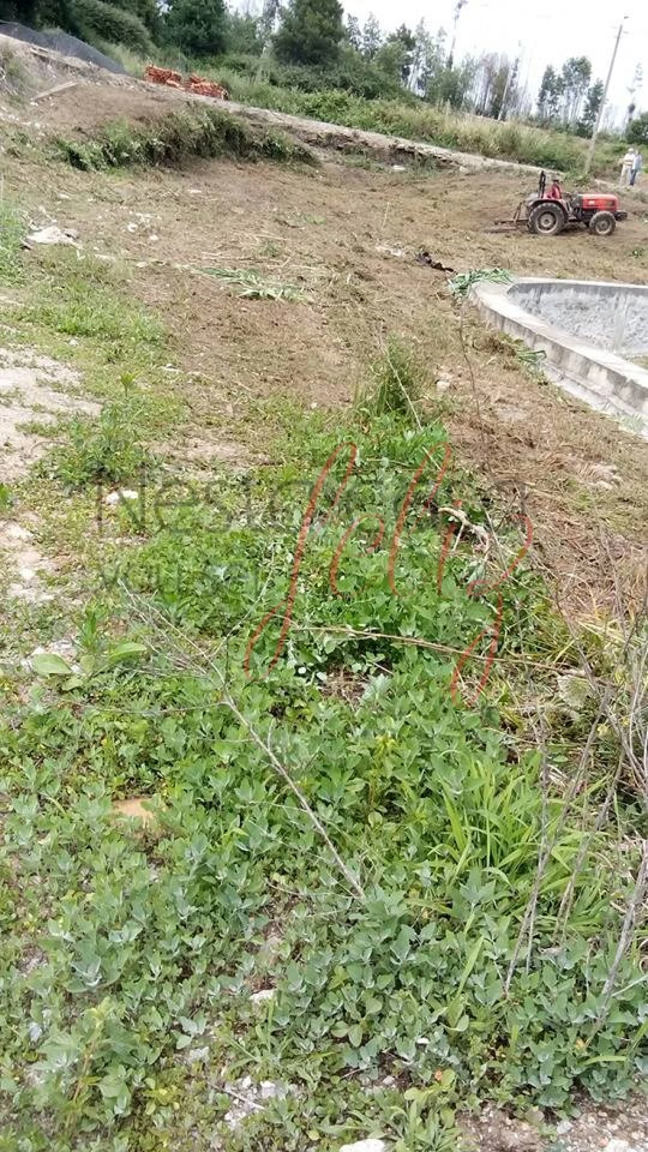 Moradia para Venda em Foz do Sousa e Covelo Foto 8