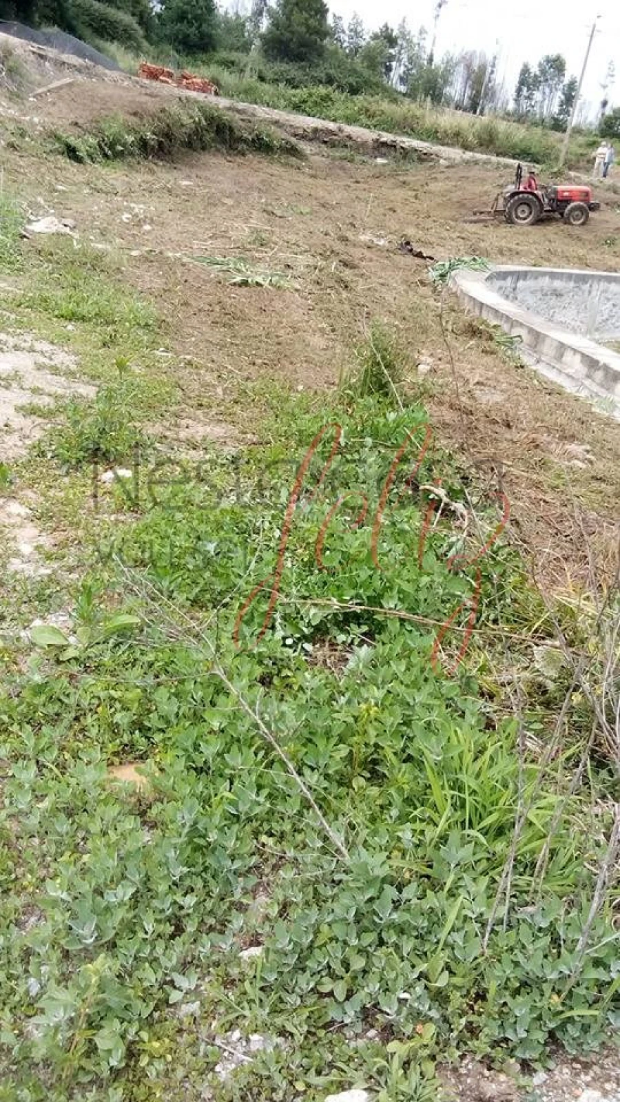 Moradia para Venda em Foz do Sousa e Covelo Foto 8