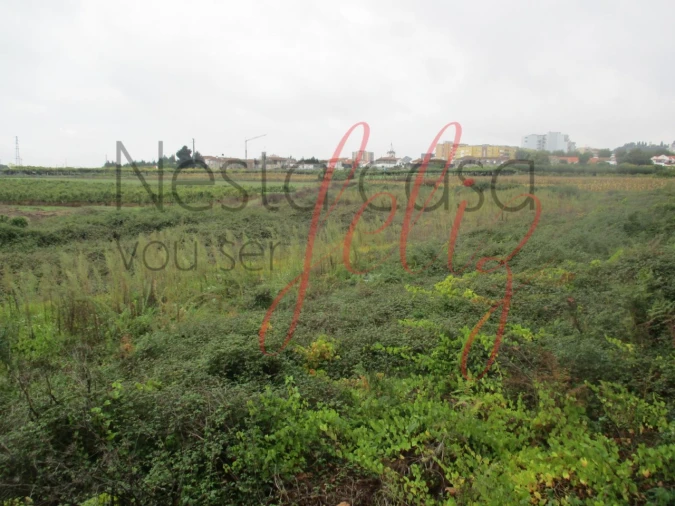 Terreno para Venda em Gondomar (São Cosme), Valbom e Jovim Foto 3
