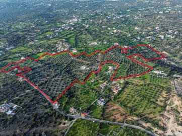 Terreno para Venda em Santa Barbara de Nexe
