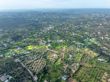 Terreno para Venda em Santa Barbara de Nexe