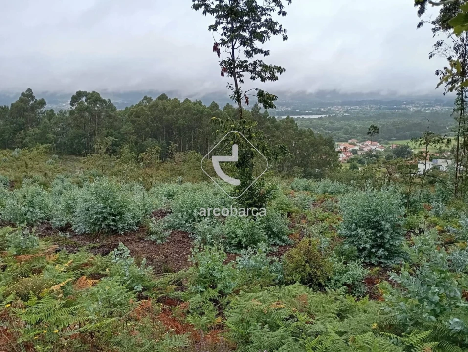Terreno para Venda em Vila Nova de Cerveira e Lovelhe Foto 17