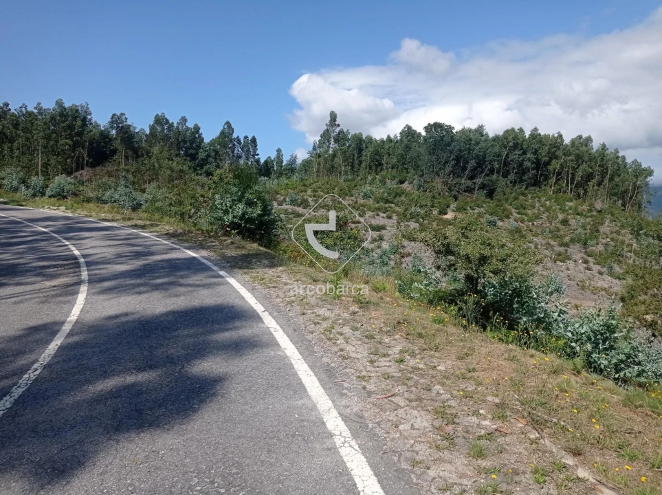 Terreno para Venda em Vila Nova de Cerveira e Lovelhe Foto 20
