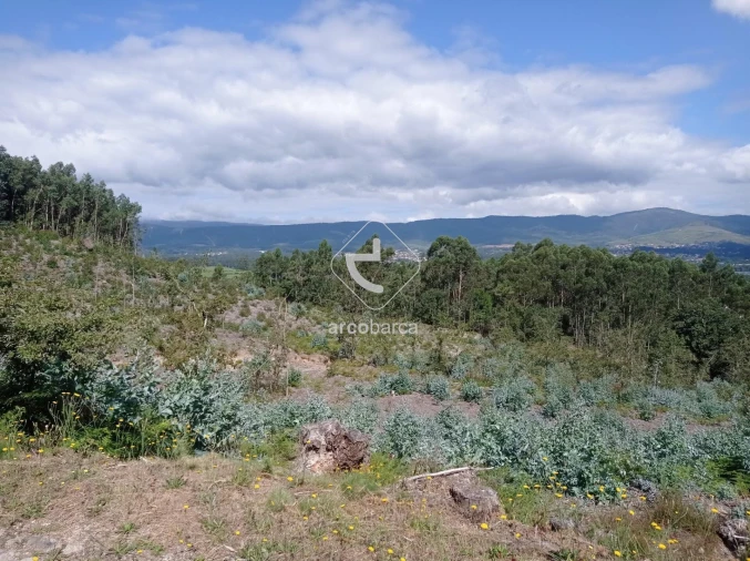 Terreno para Venda em Vila Nova de Cerveira e Lovelhe Foto 21