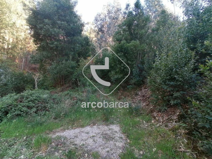 Terreno para Venda em Vila Nova de Cerveira e Lovelhe Foto 5