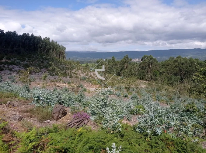 Terreno para Venda em Vila Nova de Cerveira e Lovelhe Foto 25