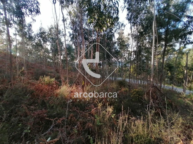 Terreno para Venda em Vila Nova de Cerveira e Lovelhe Foto 8