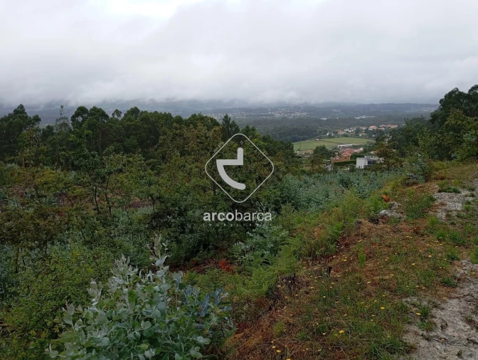 Terreno para Venda em Vila Nova de Cerveira e Lovelhe Foto 15