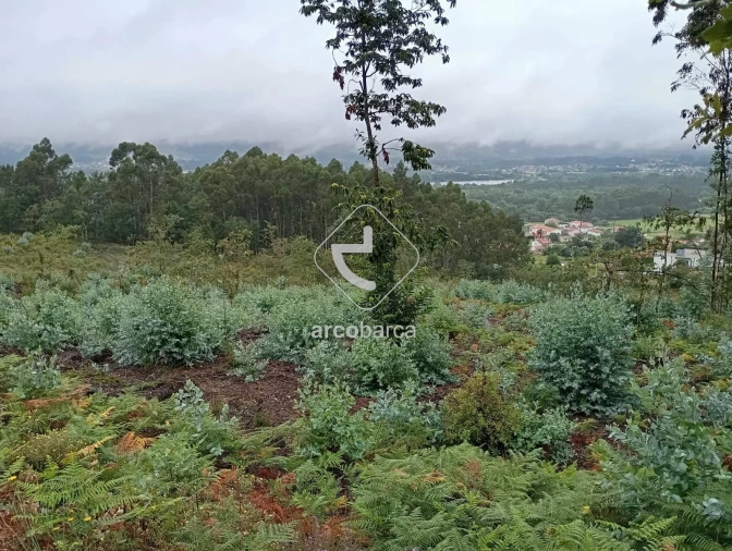 Terreno para Venda em Vila Nova de Cerveira e Lovelhe Foto 17