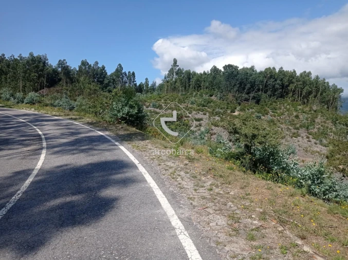 Terreno para Venda em Vila Nova de Cerveira e Lovelhe Foto 20