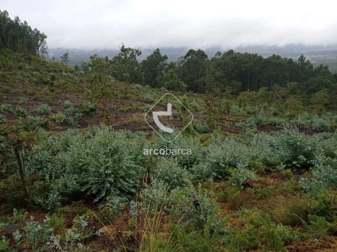 Terreno para Venda em Vila Nova de Cerveira e Lovelhe Foto 13