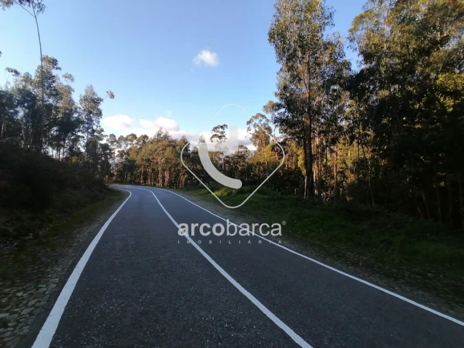 Terreno para Venda em Vila Nova de Cerveira e Lovelhe Foto 3