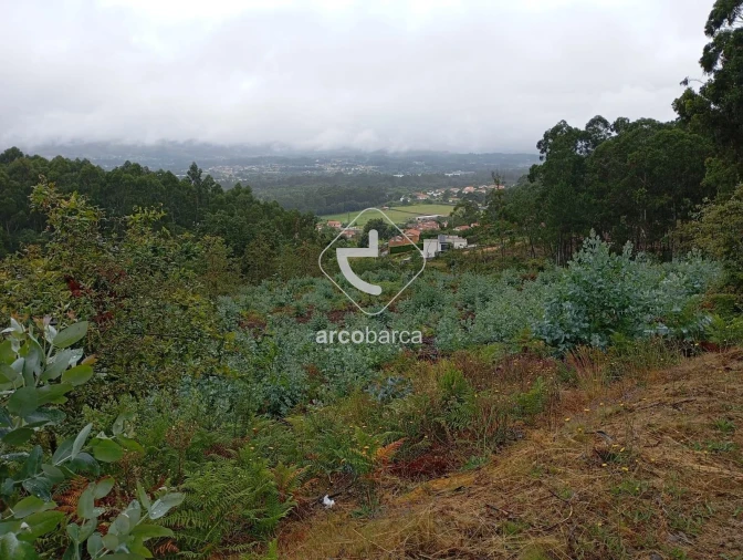 Terreno para Venda em Vila Nova de Cerveira e Lovelhe Foto 16