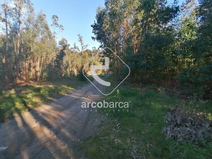 Terreno para Venda em Vila Nova de Cerveira e Lovelhe Foto 2