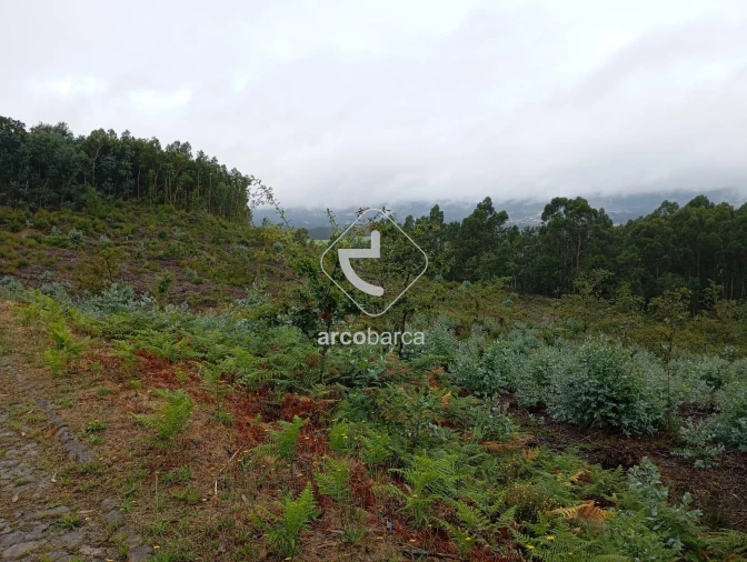 Terreno para Venda em Vila Nova de Cerveira e Lovelhe Foto 18