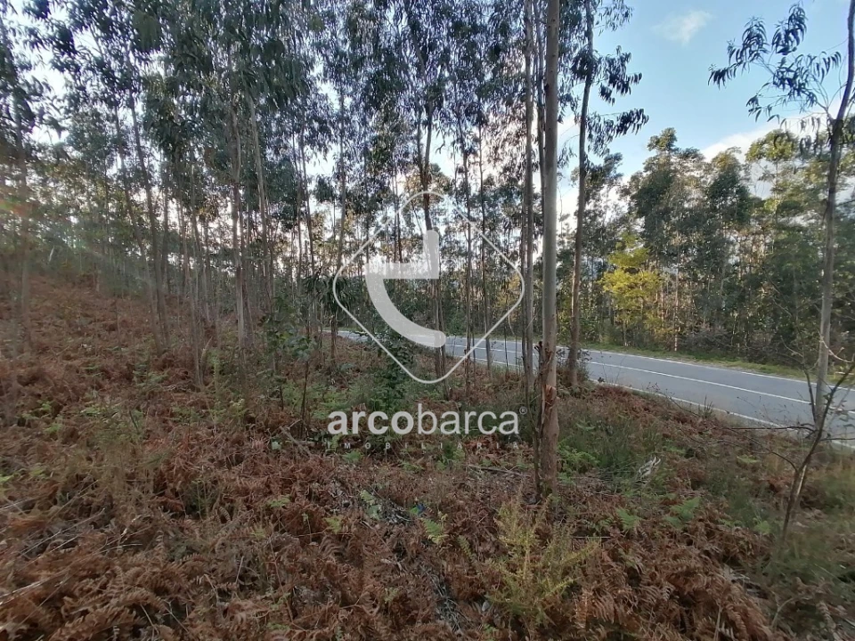 Terreno para Venda em Vila Nova de Cerveira e Lovelhe Foto 9
