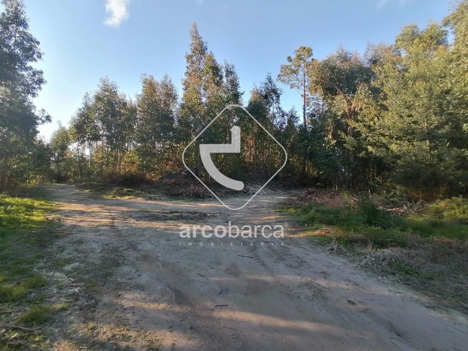 Terreno para Venda em Vila Nova de Cerveira e Lovelhe Foto 1
