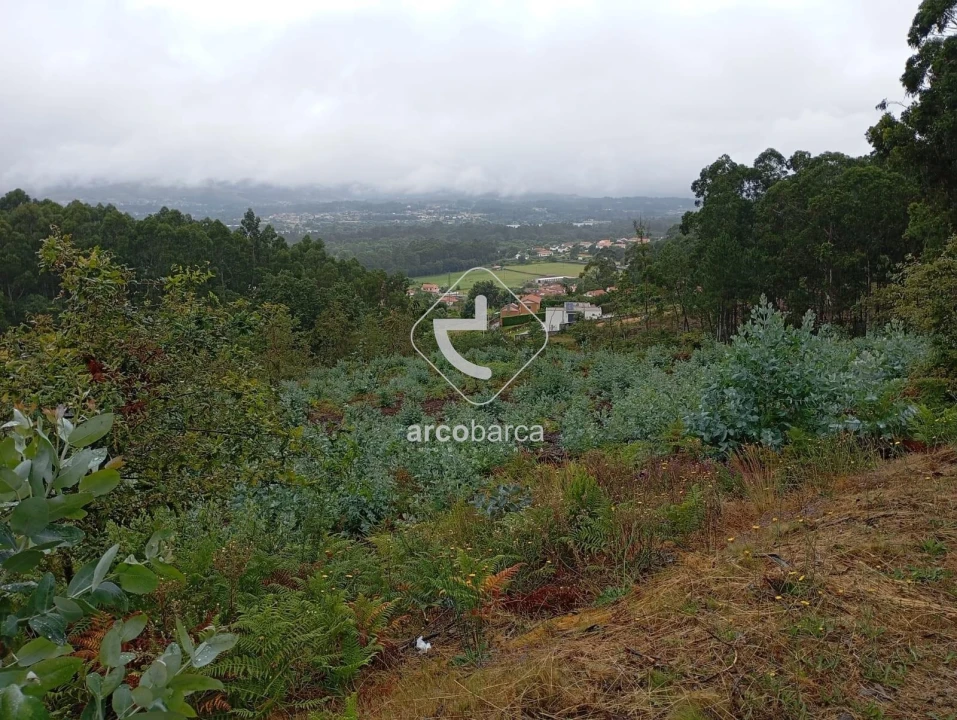 Terreno para Venda em Vila Nova de Cerveira e Lovelhe Foto 16