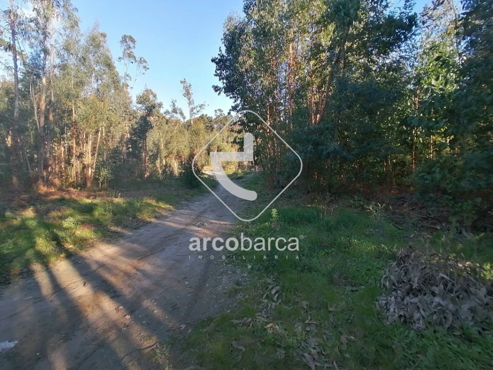 Terreno para Venda em Vila Nova de Cerveira e Lovelhe Foto 2