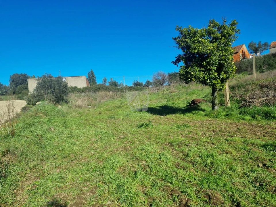 Terreno Agricola ou Rústico para Venda em Sarzedas Foto 34