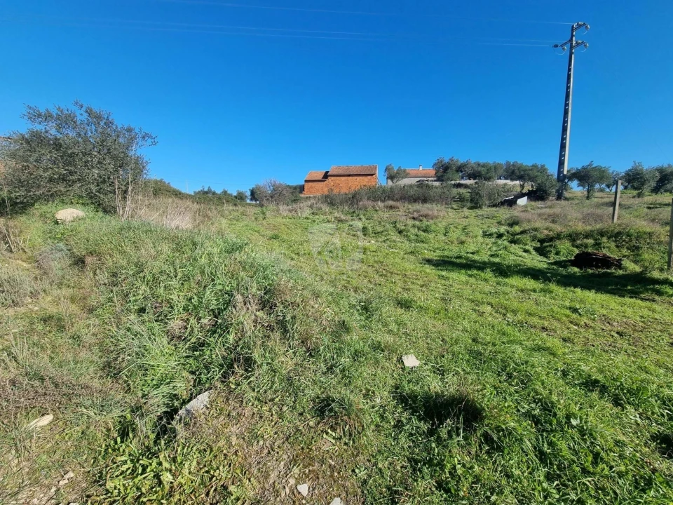 Terreno Agricola ou Rústico para Venda em Sarzedas Foto 2