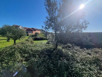 Terreno Agricola ou Rústico para Venda em Sarzedas