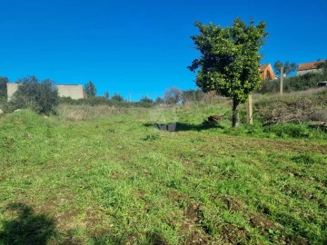 Terreno Agricola ou Rústico para Venda em Sarzedas