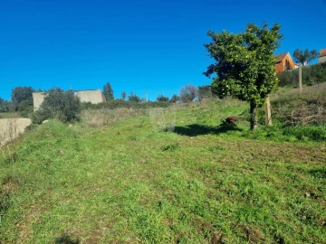 Terreno Agricola ou Rústico para Venda em Sarzedas