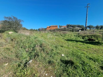 Terreno Agricola ou Rústico para Venda em Sarzedas