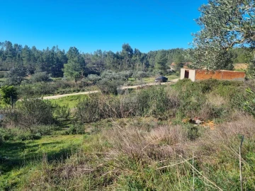 Terreno Agricola ou Rústico para Venda em Sarzedas