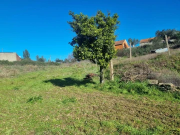 Terreno Agricola ou Rústico para Venda em Sarzedas