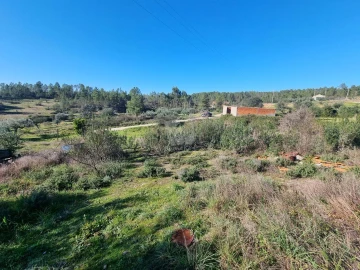 Terreno Agricola ou Rústico para Venda em Sarzedas
