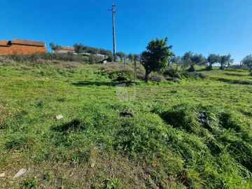 Terreno Agricola ou Rústico para Venda em Sarzedas