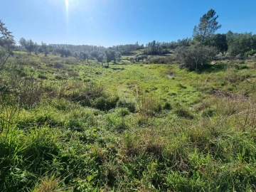 Terreno Agricola ou Rústico para Venda em Sarzedas