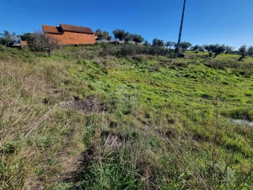 Terreno Agricola ou Rústico para Venda em Sarzedas