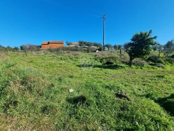 Terreno Agricola ou Rústico para Venda em Sarzedas