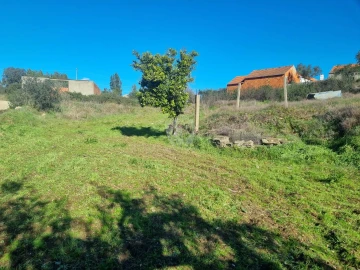Terreno Agricola ou Rústico para Venda em Sarzedas