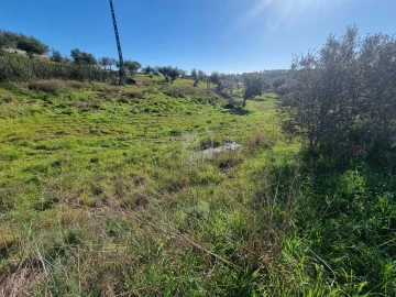 Terreno Agricola ou Rústico para Venda em Sarzedas